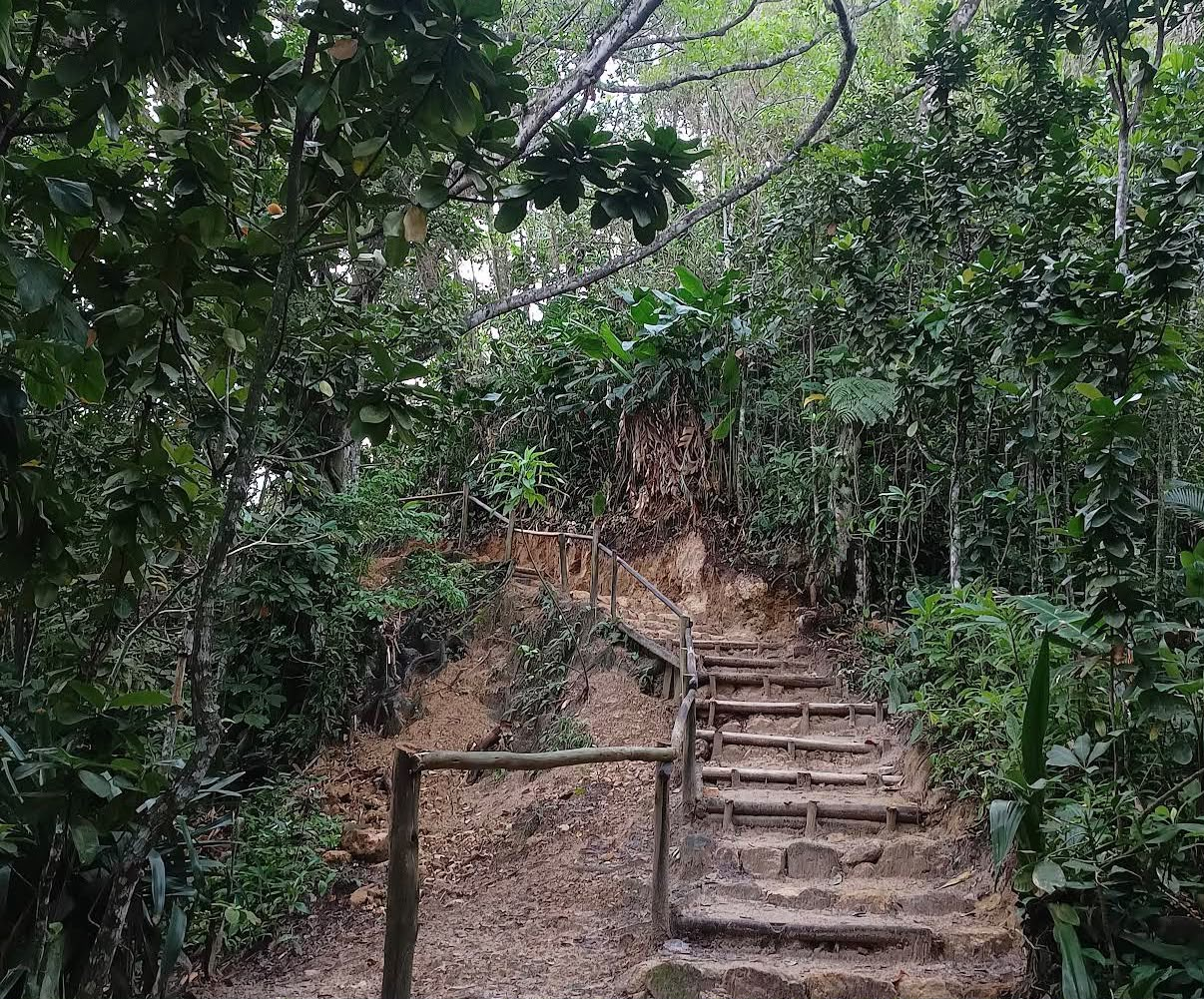 Foto de Trilha do Cachadaço em Paraty