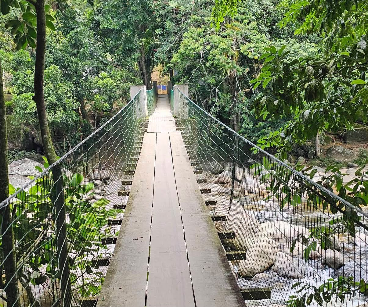Foto de Trilha do Caminho do Ouro em Paraty